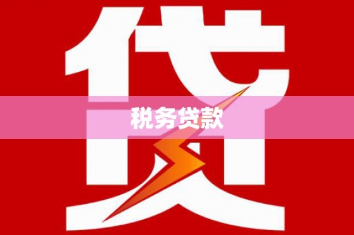 驻马店税务贷款
