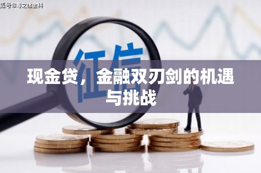 驻马店现金贷，金融双刃剑的机遇与挑战