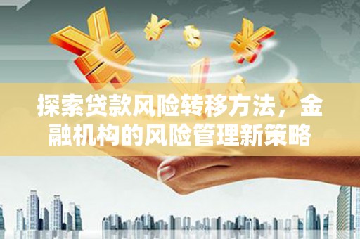驻马店探索贷款风险转移方法，金融机构的风险管理新策略