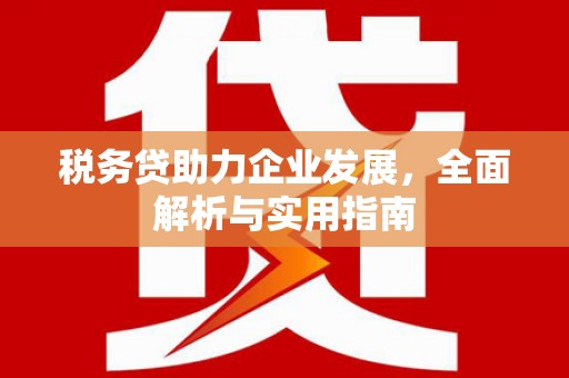驻马店税务贷助力企业发展，全面解析与实用指南