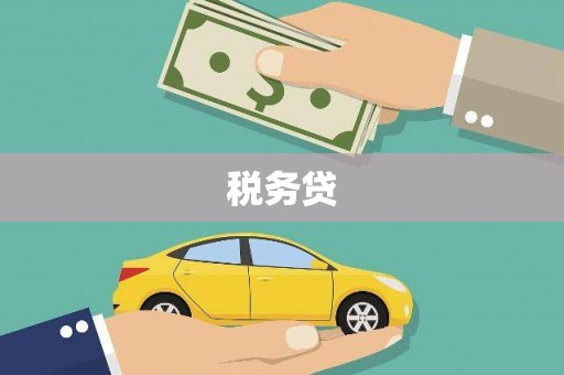 驻马店税务贷