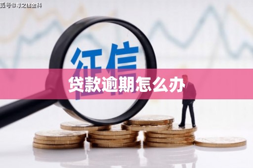 驻马店贷款逾期怎么办
