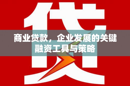 驻马店商业贷款，企业发展的关键融资工具与策略