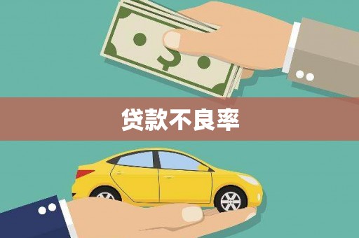 驻马店贷款不良率