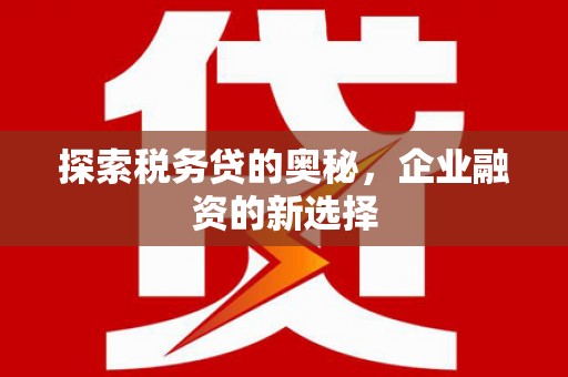 驻马店探索税务贷的奥秘，企业融资的新选择