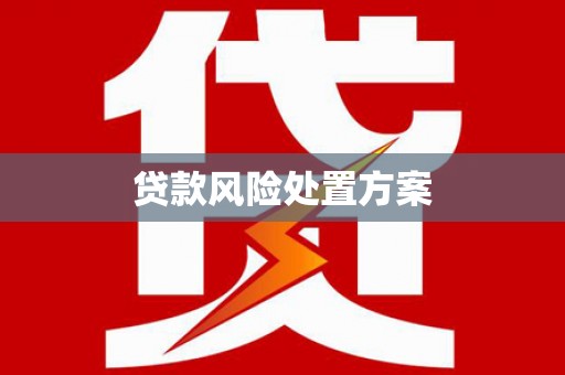 驻马店贷款风险处置方案