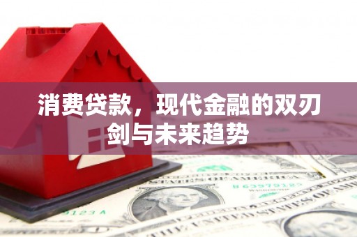 驻马店消费贷款，现代金融的双刃剑与未来趋势