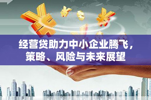 驻马店经营贷助力中小企业腾飞，策略、风险与未来展望