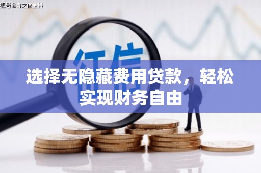 驻马店选择无隐藏费用贷款，轻松实现财务自由