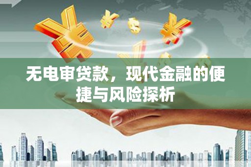 驻马店无电审贷款，现代金融的便捷与风险探析