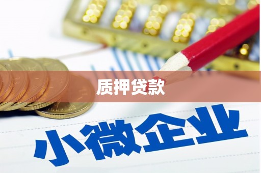 驻马店质押贷款