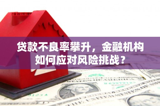 驻马店贷款不良率攀升，金融机构如何应对风险挑战？