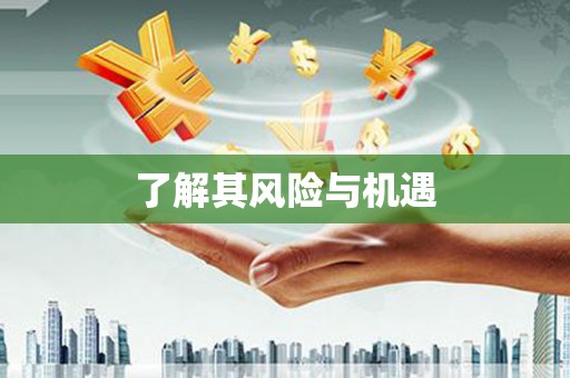驻马店了解其风险与机遇