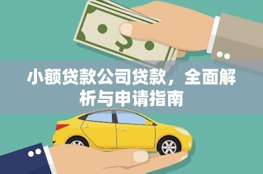 驻马店小额贷款公司贷款，全面解析与申请指南