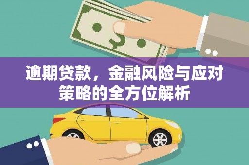 驻马店逾期贷款，金融风险与应对策略的全方位解析