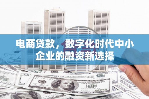 驻马店电商贷款，数字化时代中小企业的融资新选择