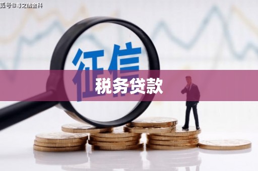 驻马店税务贷款