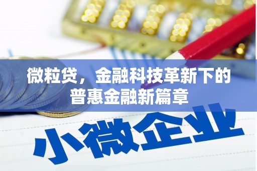 驻马店微粒贷，金融科技革新下的普惠金融新篇章