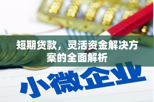 驻马店短期贷款，灵活资金解决方案的全面解析
