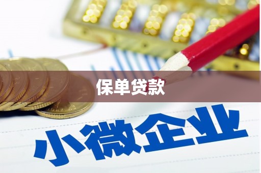 驻马店保单贷款
