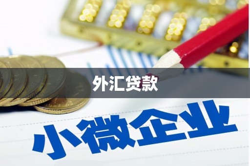 驻马店外汇贷款