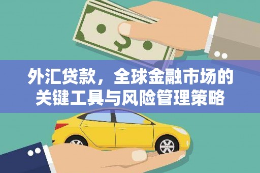 驻马店外汇贷款，全球金融市场的关键工具与风险管理策略