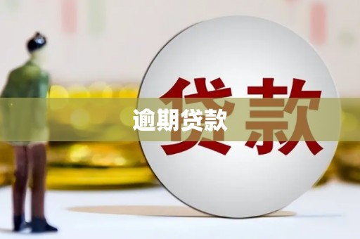 驻马店逾期贷款