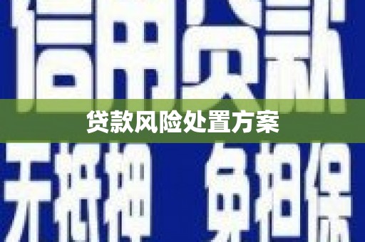 驻马店贷款风险处置方案