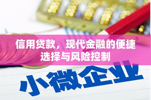 驻马店信用贷款，现代金融的便捷选择与风险控制