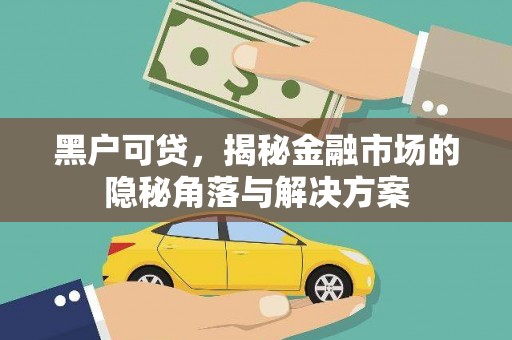 驻马店黑户可贷，揭秘金融市场的隐秘角落与解决方案