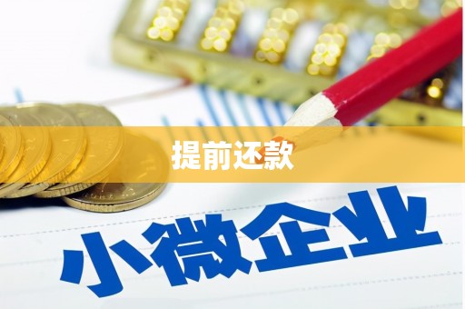 驻马店提前还款