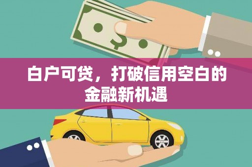 驻马店白户可贷，打破信用空白的金融新机遇