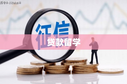 驻马店贷款留学