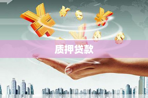 驻马店质押贷款