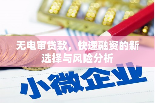 驻马店无电审贷款，快速融资的新选择与风险分析