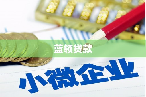 驻马店蓝领贷款