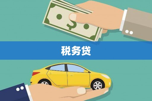 驻马店税务贷