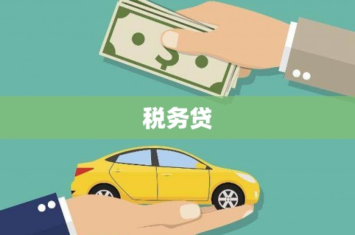 驻马店税务贷