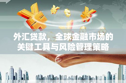 驻马店外汇贷款，全球金融市场的关键工具与风险管理策略
