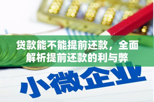 驻马店贷款能不能提前还款，全面解析提前还款的利与弊