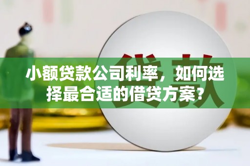 驻马店小额贷款公司利率，如何选择最合适的借贷方案？