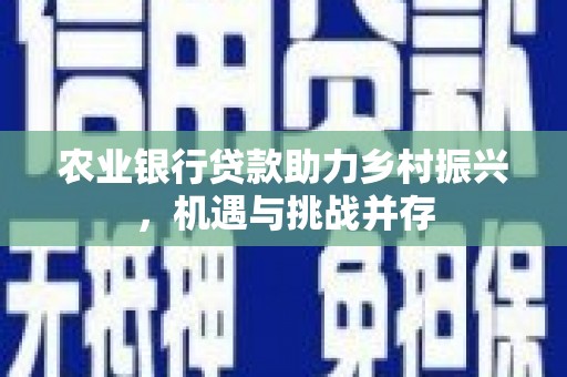 驻马店农业银行贷款助力乡村振兴，机遇与挑战并存