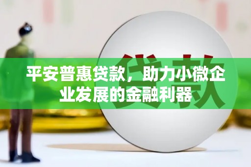 驻马店平安普惠贷款，助力小微企业发展的金融利器