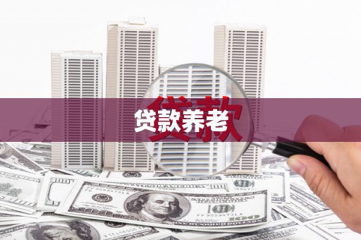 驻马店贷款养老