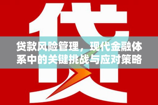 驻马店贷款风险管理，现代金融体系中的关键挑战与应对策略