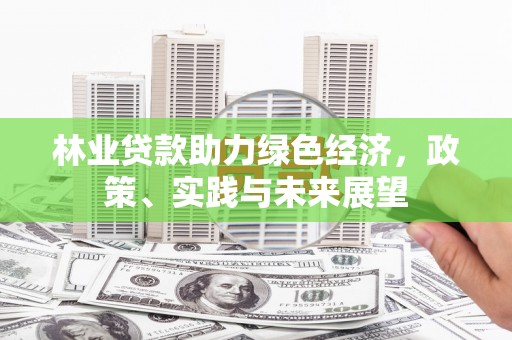 驻马店林业贷款助力绿色经济，政策、实践与未来展望
