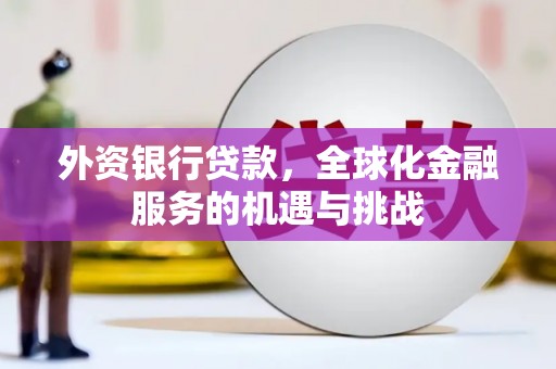 驻马店外资银行贷款，全球化金融服务的机遇与挑战