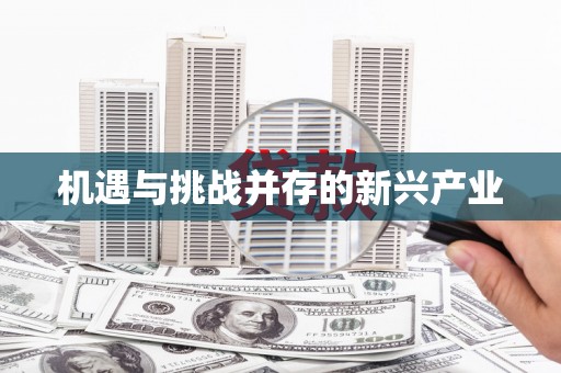 驻马店机遇与挑战并存的新兴产业