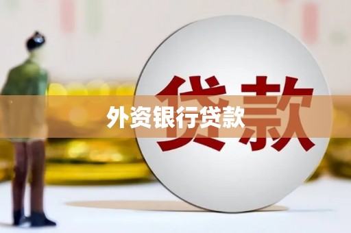 驻马店外资银行贷款