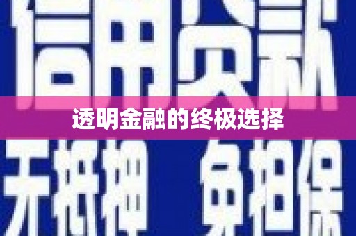驻马店透明金融的终极选择